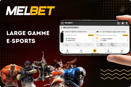 Melbet Esports Betting